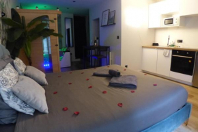 Appartement balnéothérapie et sauna hyper centre